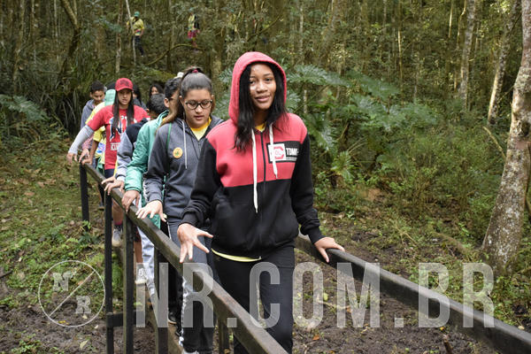 Buy your photos of the eventNR 1 - Cl�ssico  30 A 03/07/19 on Fotop