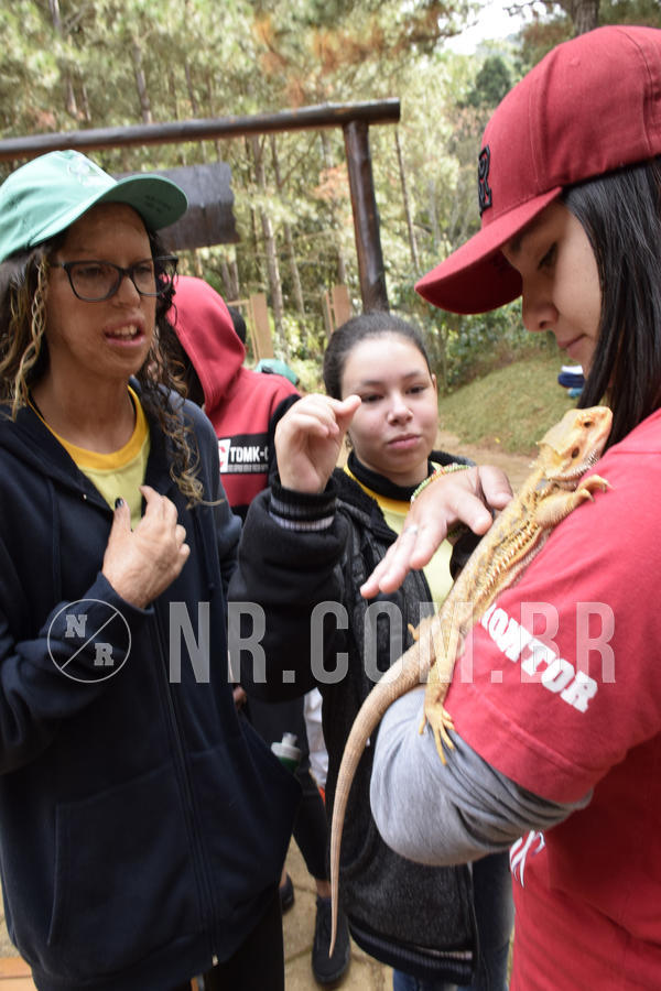 Buy your photos of the eventNR 1 - Cl�ssico  30 A 03/07/19 on Fotop