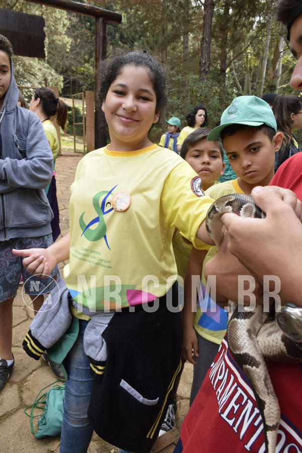 Buy your photos of the eventNR 1 - Cl�ssico  30 A 03/07/19 on Fotop