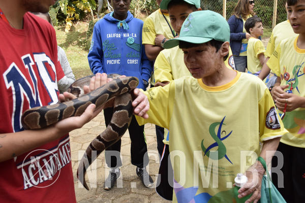 Buy your photos of the eventNR 1 - Cl�ssico  30 A 03/07/19 on Fotop