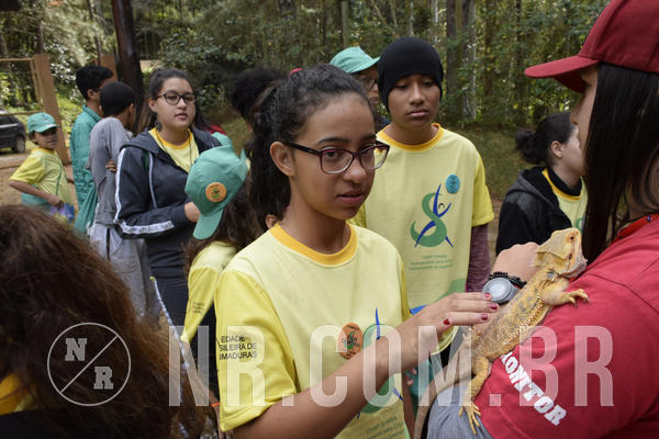 Buy your photos of the eventNR 1 - Cl�ssico  30 A 03/07/19 on Fotop