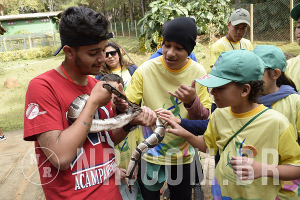 Buy your photos of the eventNR 1 - Cl�ssico  30 A 03/07/19 on Fotop