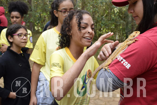 Buy your photos of the eventNR 1 - Cl�ssico  30 A 03/07/19 on Fotop