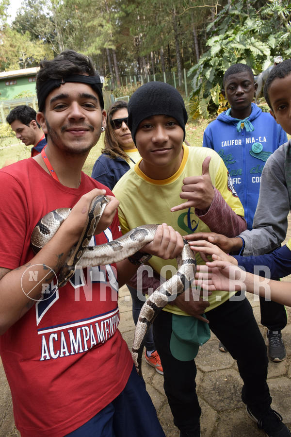 Buy your photos of the eventNR 1 - Cl�ssico  30 A 03/07/19 on Fotop