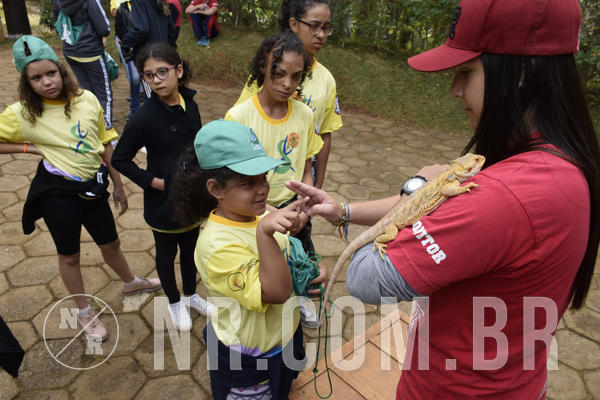 Buy your photos of the eventNR 1 - Cl�ssico  30 A 03/07/19 on Fotop