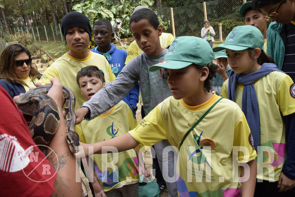 Buy your photos of the eventNR 1 - Cl�ssico  30 A 03/07/19 on Fotop