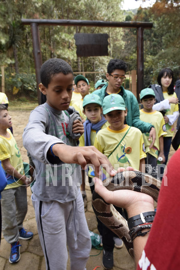 Buy your photos of the eventNR 1 - Cl�ssico  30 A 03/07/19 on Fotop