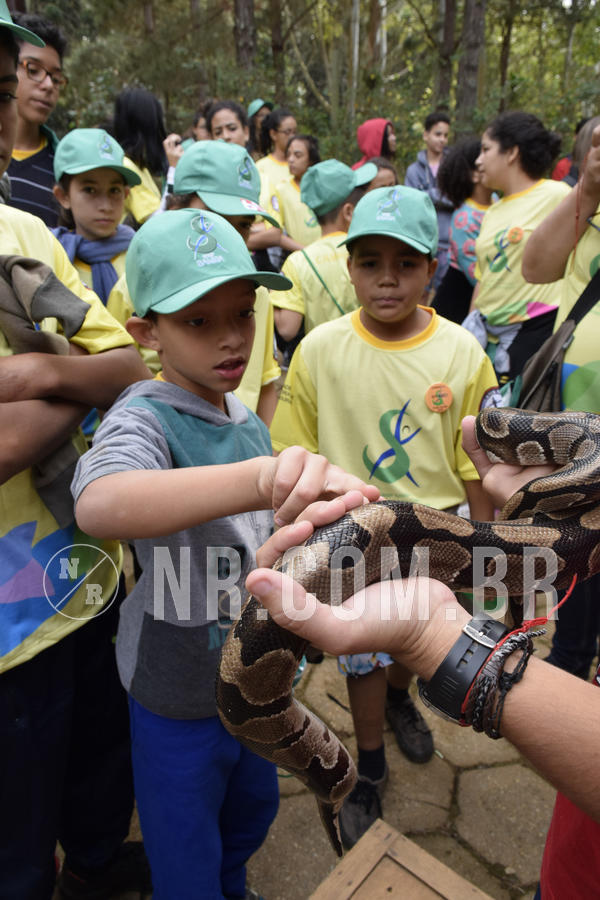Buy your photos of the eventNR 1 - Cl�ssico  30 A 03/07/19 on Fotop