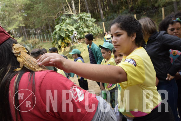 Buy your photos of the eventNR 1 - Cl�ssico  30 A 03/07/19 on Fotop