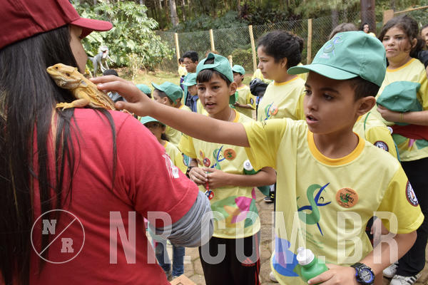 Buy your photos of the eventNR 1 - Cl�ssico  30 A 03/07/19 on Fotop