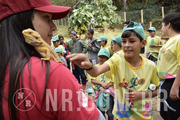 Buy your photos of the eventNR 1 - Cl�ssico  30 A 03/07/19 on Fotop