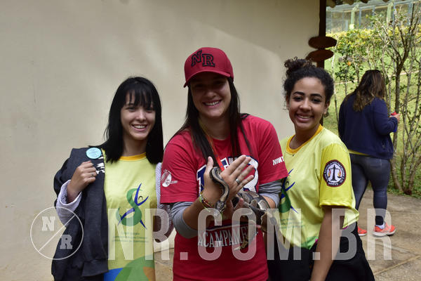 Buy your photos of the eventNR 1 - Cl�ssico  30 A 03/07/19 on Fotop