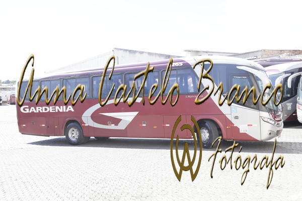 Buy your photos of the eventGardnia - Encontro com Buslogos on Fotop