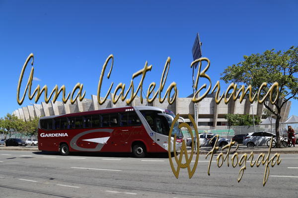 Buy your photos of the eventGardnia - Encontro com Buslogos on Fotop