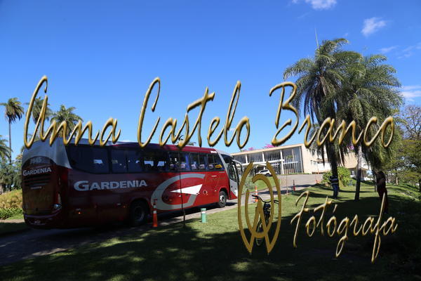 Buy your photos of the eventGardnia - Encontro com Buslogos on Fotop