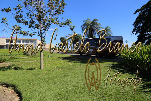Buy your photos of the eventGardnia - Encontro com Buslogos on Fotop