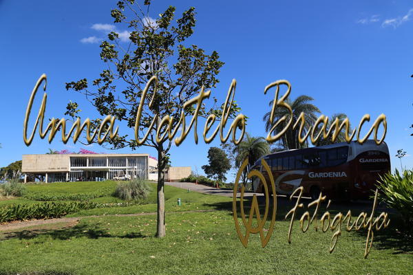 Buy your photos of the eventGardnia - Encontro com Buslogos on Fotop