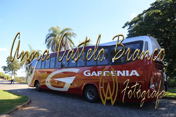Buy your photos of the eventGardnia - Encontro com Buslogos on Fotop