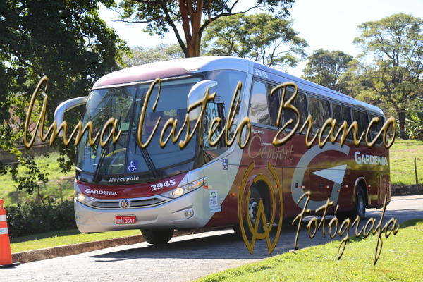 Buy your photos of the eventGardnia - Encontro com Buslogos on Fotop