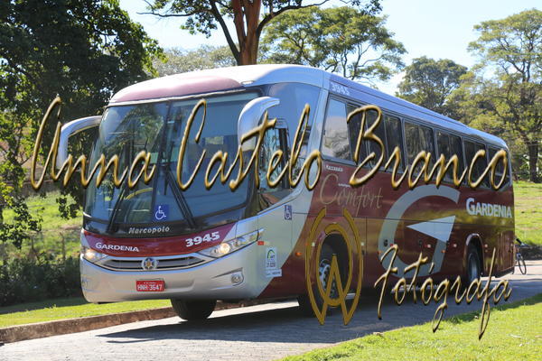 Buy your photos of the eventGardnia - Encontro com Buslogos on Fotop