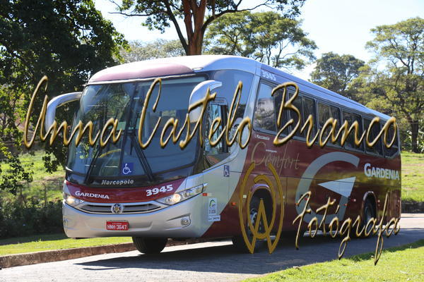 Buy your photos of the eventGardnia - Encontro com Buslogos on Fotop