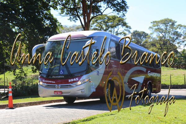 Buy your photos of the eventGardnia - Encontro com Buslogos on Fotop