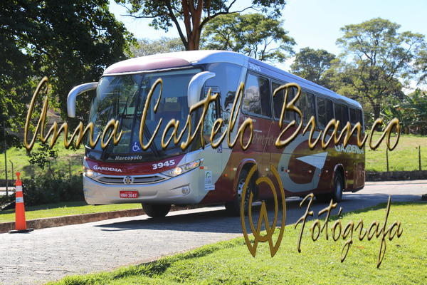 Buy your photos of the eventGardnia - Encontro com Buslogos on Fotop