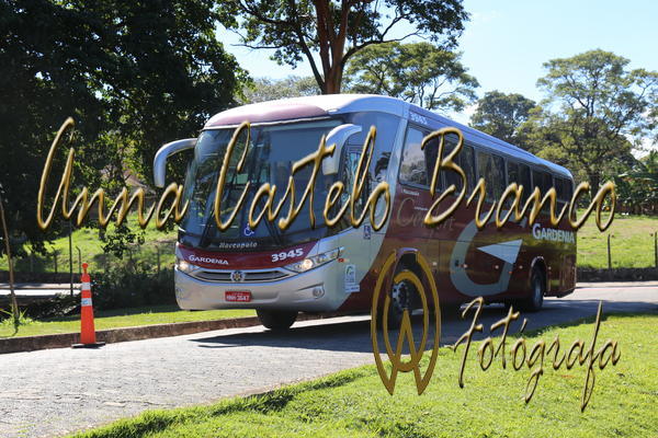 Buy your photos of the eventGardnia - Encontro com Buslogos on Fotop