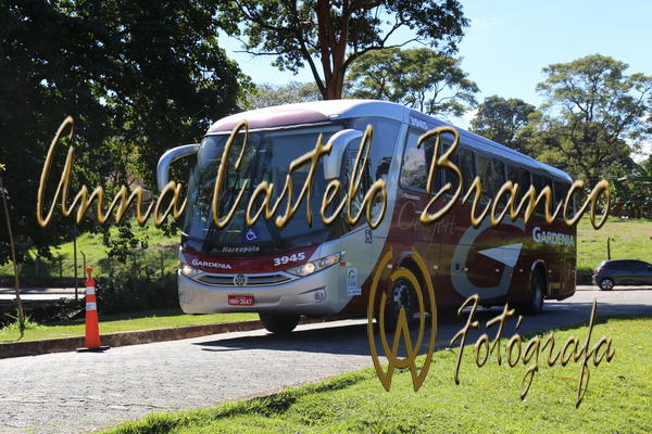 Buy your photos of the eventGardnia - Encontro com Buslogos on Fotop