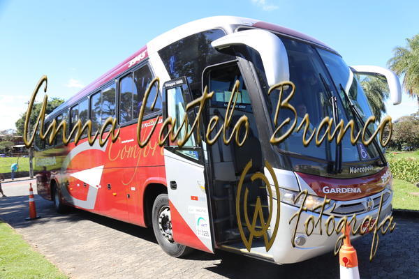 Buy your photos of the eventGardnia - Encontro com Buslogos on Fotop