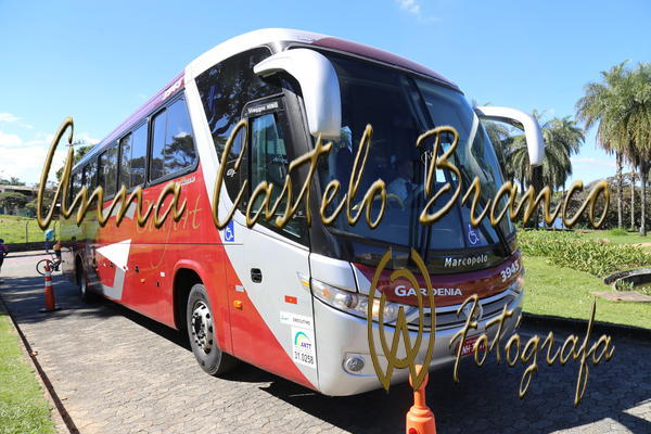 Buy your photos of the eventGardnia - Encontro com Buslogos on Fotop