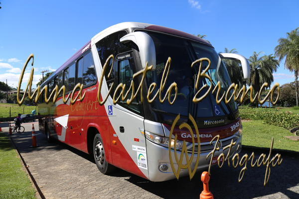 Buy your photos of the eventGardnia - Encontro com Buslogos on Fotop