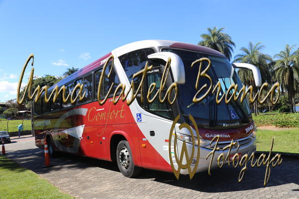 Buy your photos of the eventGardnia - Encontro com Buslogos on Fotop