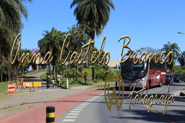 Buy your photos of the eventGardnia - Encontro com Buslogos on Fotop