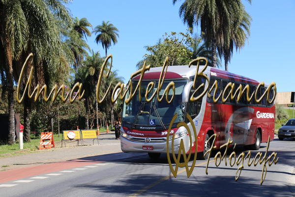 Buy your photos of the eventGardnia - Encontro com Buslogos on Fotop