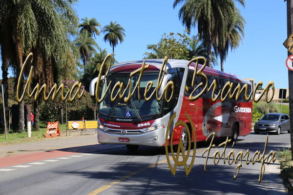 Buy your photos of the eventGardnia - Encontro com Buslogos on Fotop