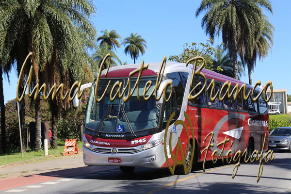 Buy your photos of the eventGardnia - Encontro com Buslogos on Fotop