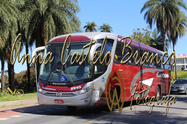 Buy your photos of the eventGardnia - Encontro com Buslogos on Fotop