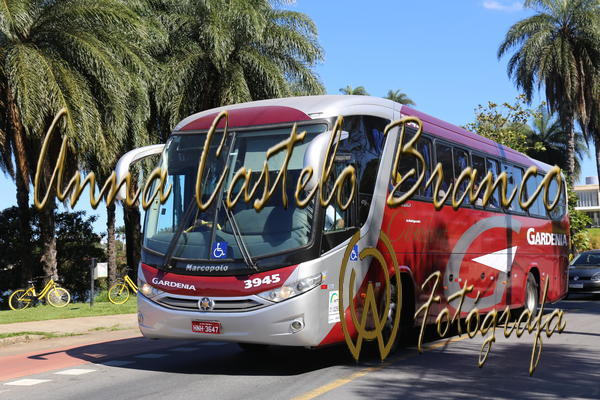 Buy your photos of the eventGardnia - Encontro com Buslogos on Fotop