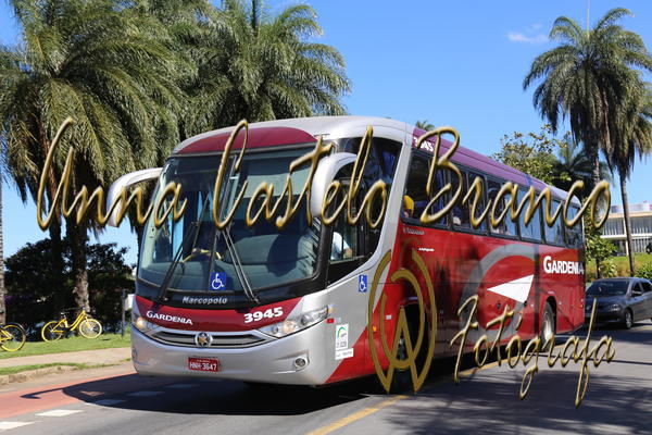 Buy your photos of the eventGardnia - Encontro com Buslogos on Fotop