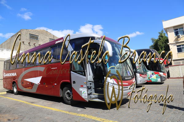 Buy your photos of the eventGardnia - Encontro com Buslogos on Fotop