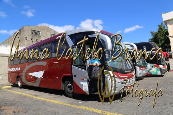 Buy your photos of the eventGardnia - Encontro com Buslogos on Fotop