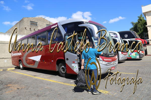 Buy your photos of the eventGardnia - Encontro com Buslogos on Fotop