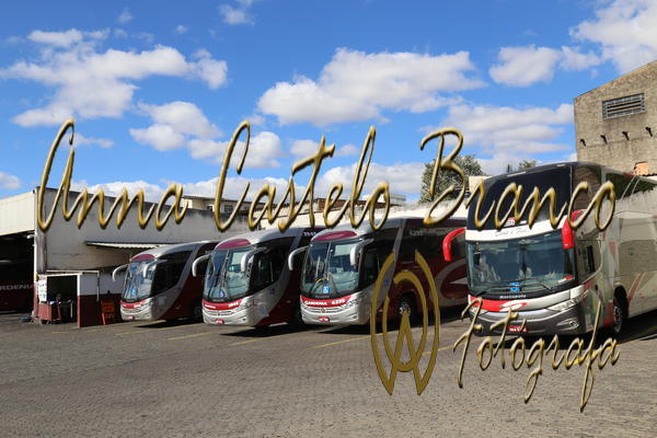 Buy your photos of the eventGardnia - Encontro com Buslogos on Fotop