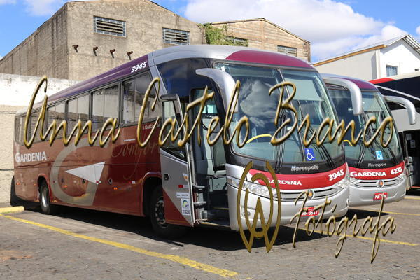 Buy your photos of the eventGardnia - Encontro com Buslogos on Fotop