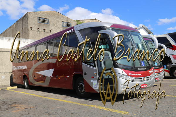 Buy your photos of the eventGardnia - Encontro com Buslogos on Fotop