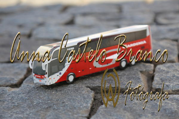 Buy your photos of the eventGardnia - Encontro com Buslogos on Fotop