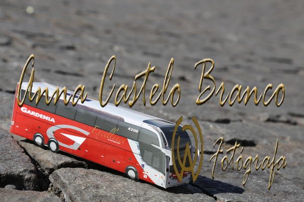 Buy your photos of the eventGardnia - Encontro com Buslogos on Fotop