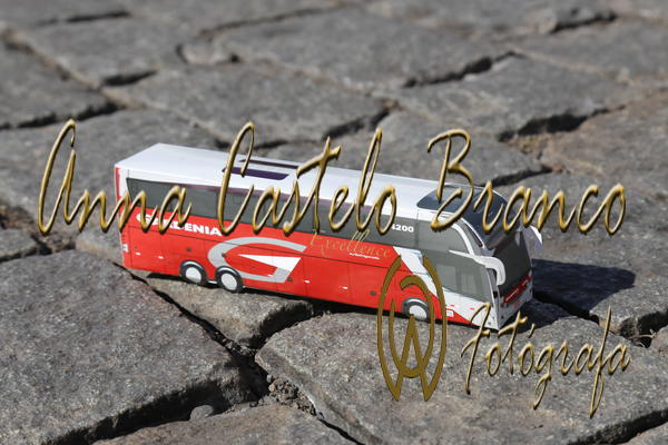 Buy your photos of the eventGardnia - Encontro com Buslogos on Fotop