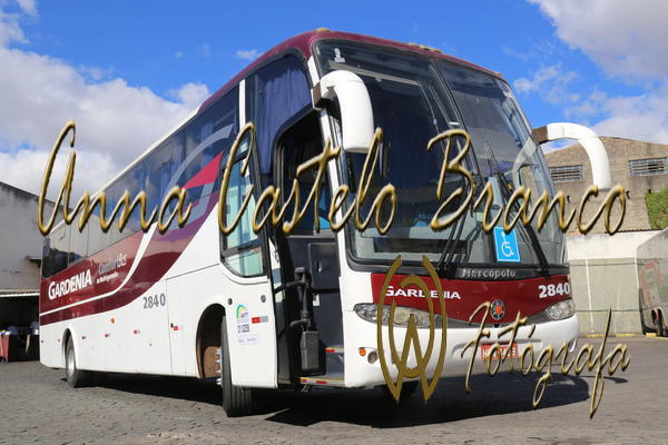 Buy your photos of the eventGardnia - Encontro com Buslogos on Fotop